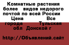 Комнатные растения более200видов недорого почтой по всей России › Цена ­ 100-500 - Все города  »    . Тульская обл.,Донской г.